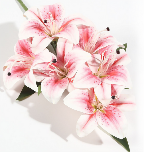 6 Lirios 40CM Rosa
