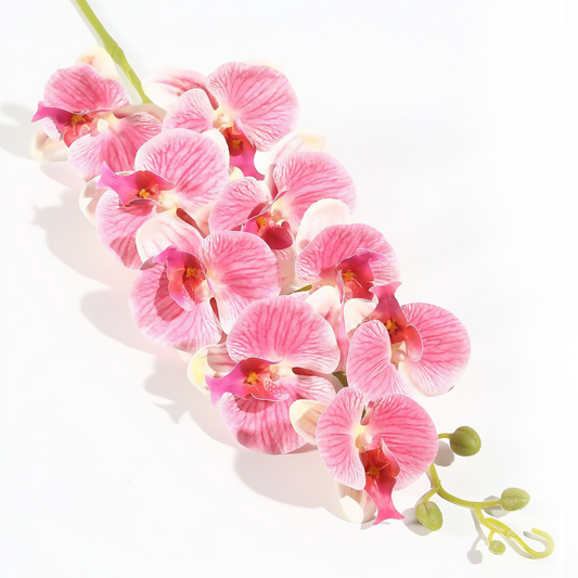 9 orquídeas Phalaenopsis 90CM naranja, rosa, blanco, morado