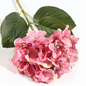 Hortensia individual 60CM azul