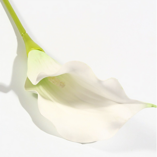 Lirio de cala individual de 70 cm, blanco