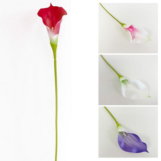 Lirio de cala individual de 60 cm blanco, rosa, rojo y morado