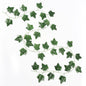 VATTEN HOME 24 Piezas de Hojas de rábano Verde Artificial de ratán 240CM, Adecuado para Cocina, Boda, balcón, etc