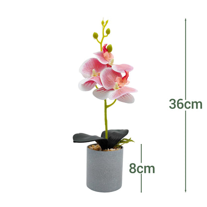 VATTEN HOME Maceta de melamina Artificial Phalaenopsis 3D de 3 Cabezas, 34 x 8 cm