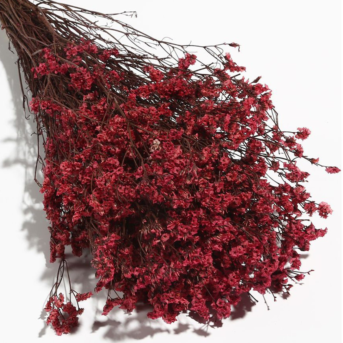 Los Ramos de Flores secas Naturales de Aliento de bebé se Pueden Usar para arreglos Florales, empaques de Regalo y Hacen Que la Vida hogareña esté Llena de Sentido Ritual.