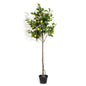 VATTEN HOME Olivo 110cm Planta Artificial Decorativa para hogar, Oficina, casa, balcón, Dormitorio